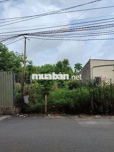 Bán đất Hòa Lợi gần chợ Nhật Huy 5*50m, thổ cư 60m