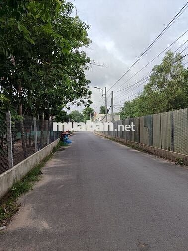 Bán đất Hòa Lợi gần chợ Nhật Huy 5*50m, thổ cư 60m