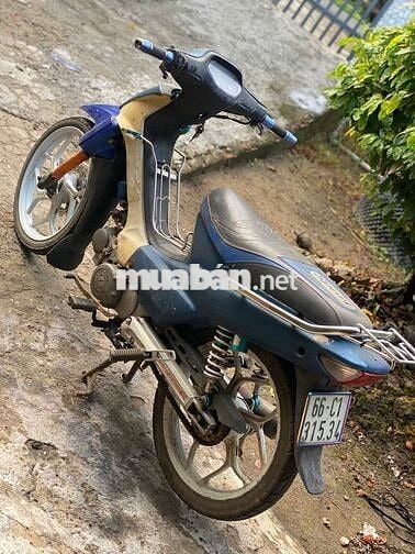 Yamaha Novo 6 Fi bs64 