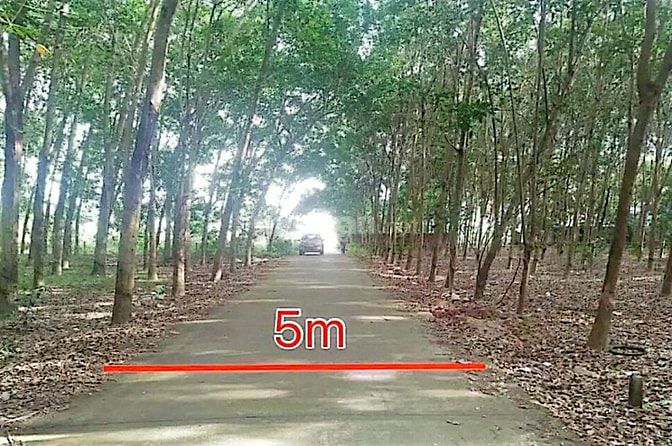 Công ty Đấu giá hợp danh Lam Sơn Sài Gòn thông báo đấu giá tài sản