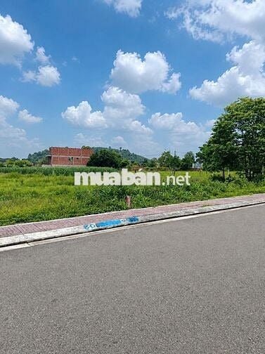 BÁN GẤP LÔ BIỆT THỰ 140M² KDC ĐÔNG ĐÚC XÂY DỰNG ĐƯỢC NGAY