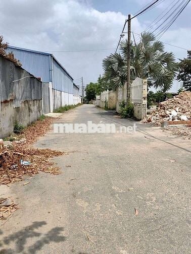 ĐẤT MẶT TIỀN TÂN HIỆP 20 – Ô TÔ THÔNG – 115M² – CHỈ 3.1 TỶ TL