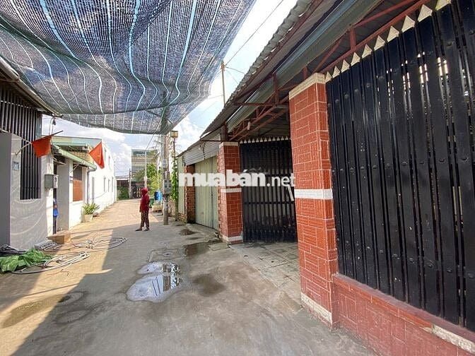 Nhà KP11A Tân Phong cho thuê nguyên căn 115m2