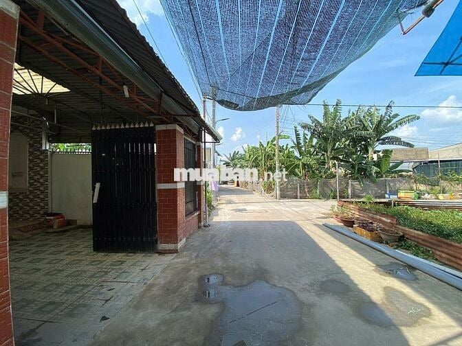 Nhà KP11A Tân Phong cho thuê nguyên căn 115m2