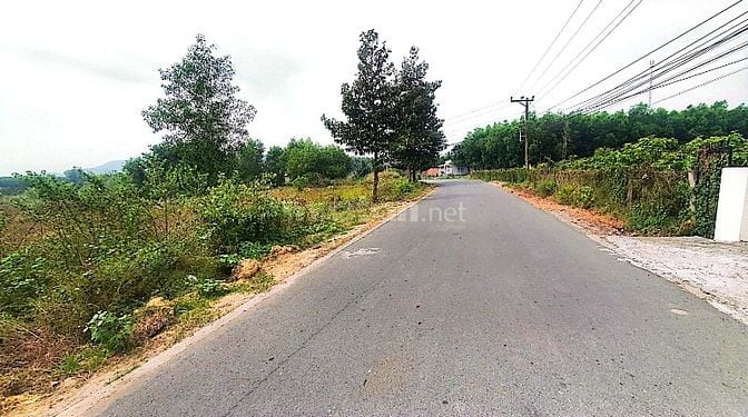 Công ty Đấu giá hợp danh Lam Sơn Sài Gòn thông báo đấu giá tài