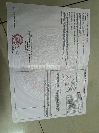 🏡 CHÍNH CHỦ BÁN 9.000m² ĐẤT MẶT TIỀN ĐƯỜNG NHỰA – GIA TÂN 2, THỐNG NH