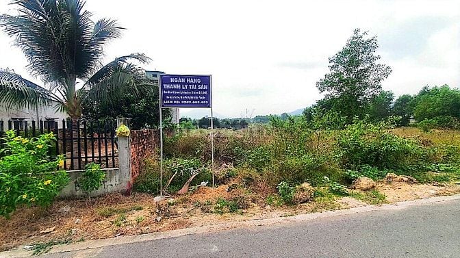 Công ty Đấu giá hợp danh Lam Sơn Sài Gòn thông báo đấu giá tài