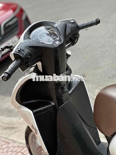 Honda Vision 2023 Trắng Tự động