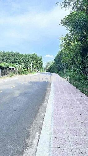 Chính chủ bán đất mặt tiền Thị trấn Lai Uyên