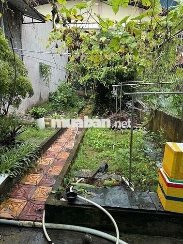 Nhà Sân vườn 2 phòng hẻm Trần Hoàng Na