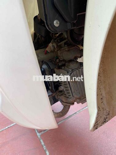 VietThai Cub Kem Đã sử dụng