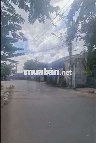 NHÀ LÀM VĂN PHÒNG, NHÀ NGUYÊN CĂN