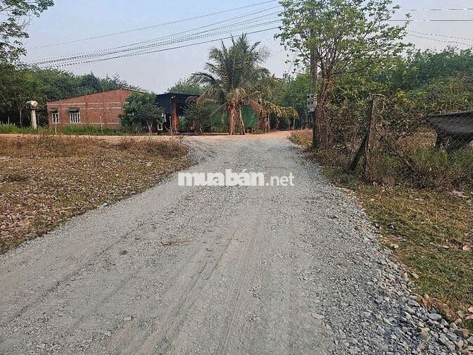 Một quyết định hôm nay có thể trở thành tài sản giá trị của tương lai