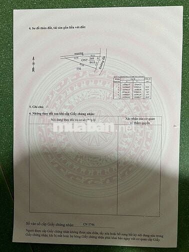 Một quyết định hôm nay có thể trở thành tài sản giá trị của tương lai