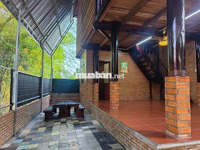 BÁN NHÀ GỖ MỚI TINH -2pngu - ngay đường lê chí dân
