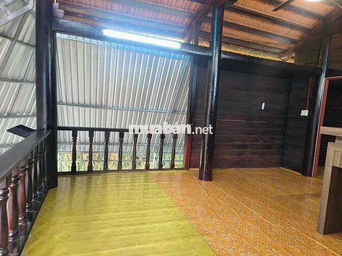 BÁN NHÀ GỖ MỚI TINH -2pngu - ngay đường lê chí dân