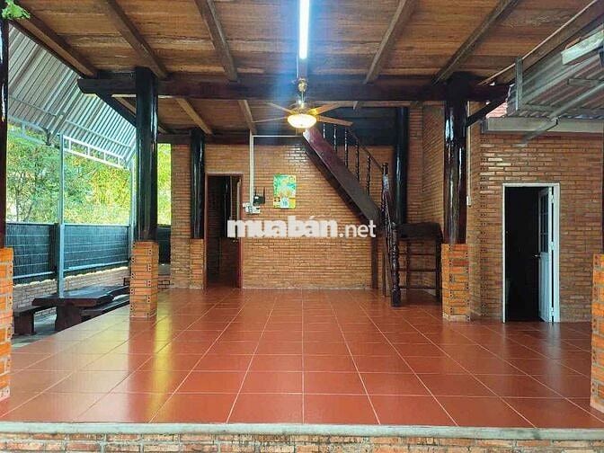 BÁN NHÀ GỖ MỚI TINH -2pngu - ngay đường lê chí dân