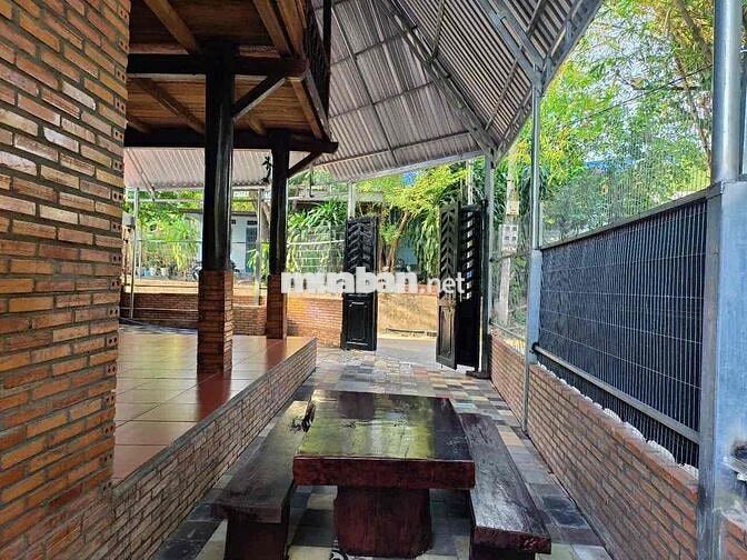 BÁN NHÀ GỖ MỚI TINH -2pngu - ngay đường lê chí dân