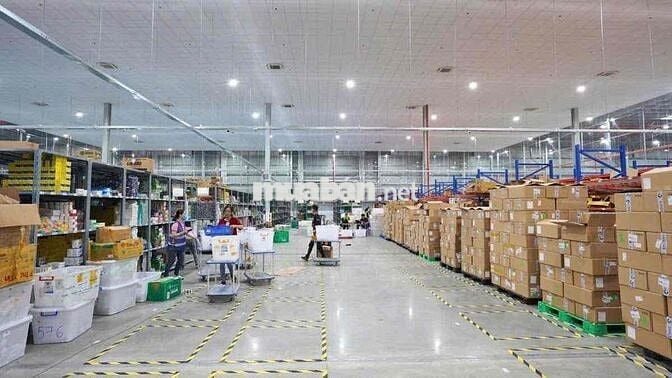 SOẠN HÀNG KHO DƯỢC VSIP II THU NHẬP 9-20TR