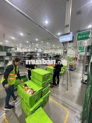 SOẠN HÀNG KHO DƯỢC VSIP II THU NHẬP 9-20TR