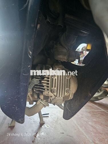 Honda Wave Alpha + 2004 Xanh đen