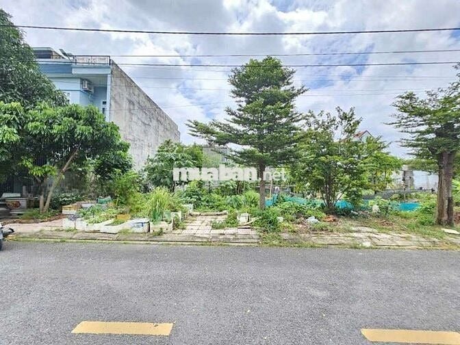 Đất kdc Đất mới phường Tân Bình Tp Dĩ An 