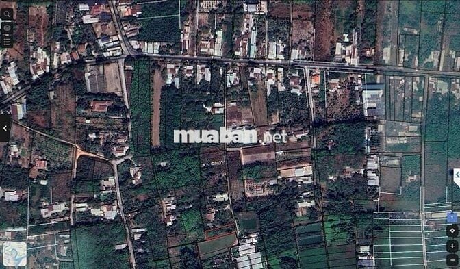 bán mảnh đất vườn 900m2 gần đường Nhuận Đức (huyện Củ Chi) 3,4 tỷ