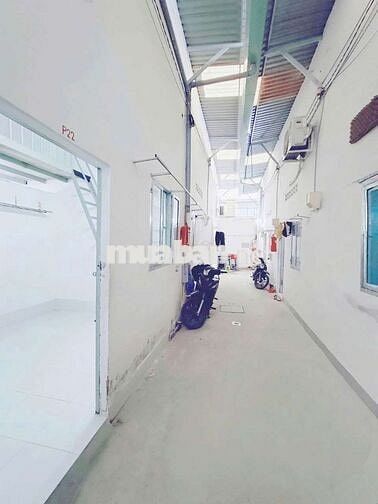 - Cho Thuê Phòng Trọ Quận 7, số 115 Phạm Hữu Lầu 