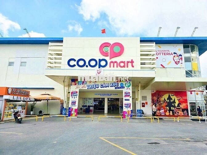 Lô đất cách KCN Thành Thành Công 1km 233m2 giá 900tr đường ô tô SHR