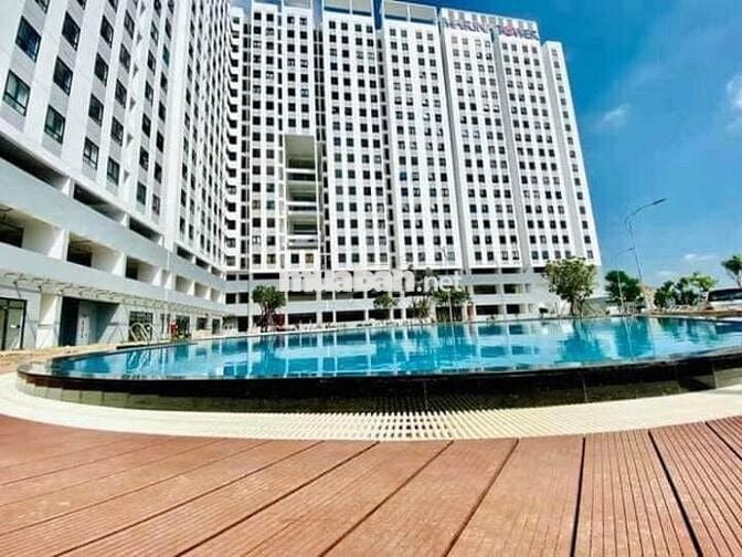 Cho thuê căn hộ chung cư Marina Tower