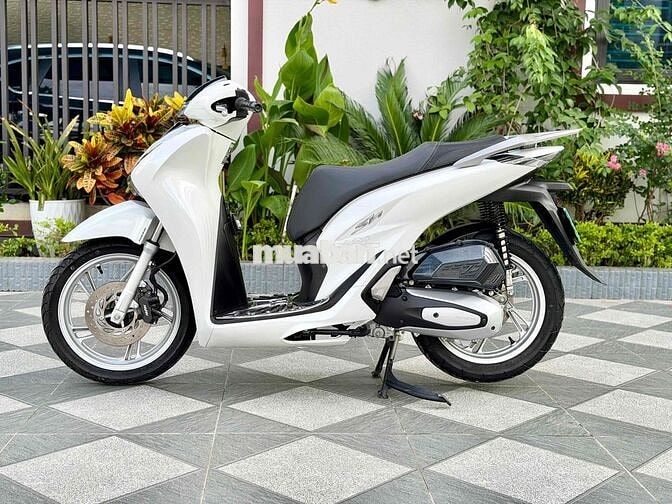 Honda SH 125 2023 Trắng
