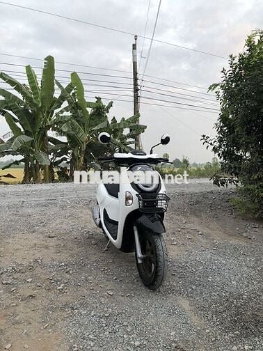 Honda Scoopy 2025 Trắng 3000km