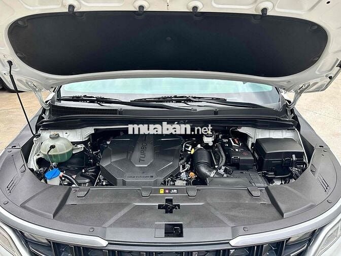 Kia Carnival Luxury 2.2D 2022 Trắng