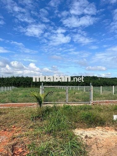 Ngộp mùa Banh bán nhanh sào ngang 18m rào kiên cố giá chỉ: 850tr ( TL)