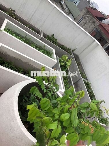 💥 Giá Tốt! Nhà Nguyên Căn 4PN Gia Quất 40m  – Ô Tô Gần – Chỉ 10 Triệu