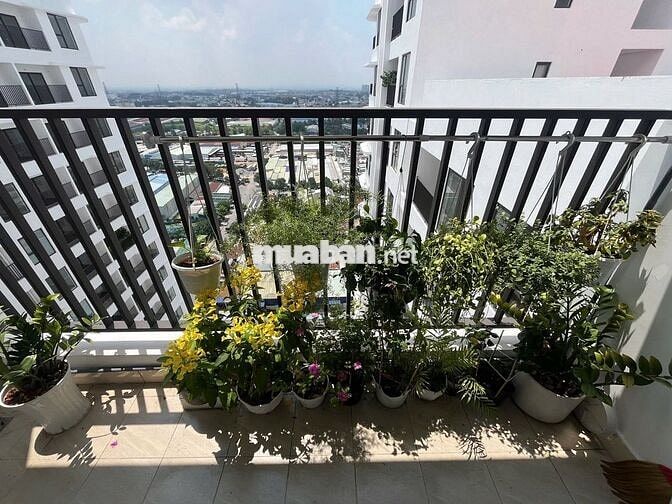 TRỐNG CĂN BENHILL 2PN GIÁ 4.5TR - NỘI THẤT CƠ BẢN - DỌN ĐẾN Ở LUÔN