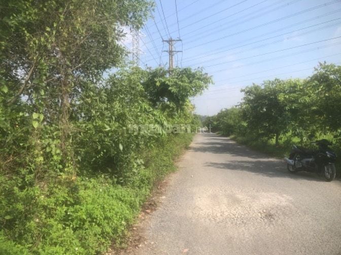 Bán gấp 3000m2 đường nhựa giá 9 tỷ 