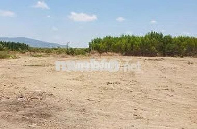 Chủ cần bán gấp lô đất view Bàu Trắng, view biển, điện gió