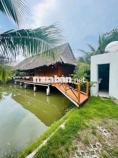 Đất vườn cây ăn trái Lê Văn Lương -Nhà Bè. Sổ hồng riêng, hỗ trợ bank.