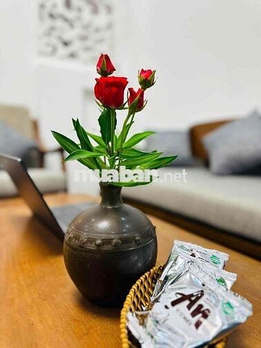 024 CHO THUÊ NHÀ KIỆT ĐẸP 3PN SẴN SÂN THƯỢNG BBQ
