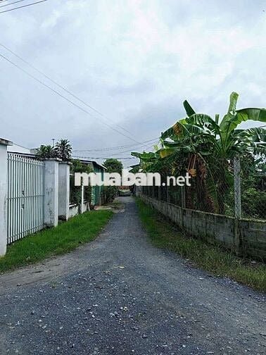 Bán 300m2 đất nông nghiệp trong khu dân cư Tân Phú Trung - đường ô tô