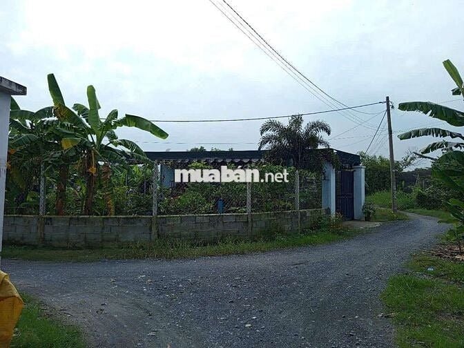 Bán 300m2 đất nông nghiệp trong khu dân cư Tân Phú Trung - đường ô tô