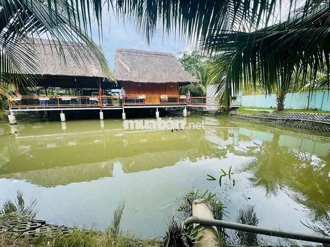Đất vườn cây ăn trái Lê Văn Lương -Nhà Bè. Sổ hồng riêng, hỗ trợ bank.