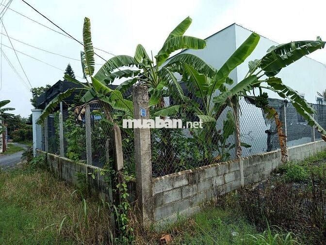 Bán 300m2 đất nông nghiệp trong khu dân cư Tân Phú Trung - đường ô tô