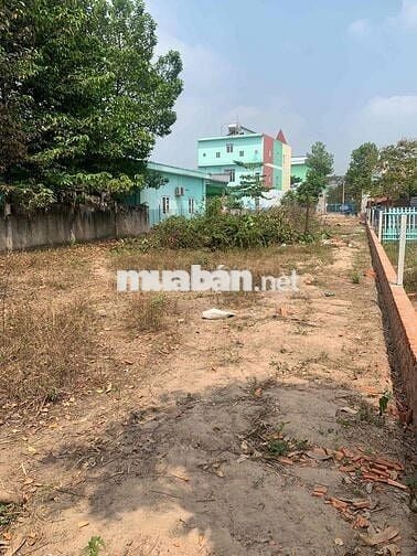 Bán 1000m2 đất mặt tiền đối diện trường tiểu học Phú Hoà 3