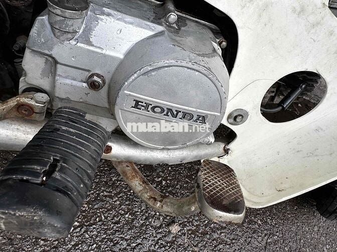 Honda Dream 100cc Trắng