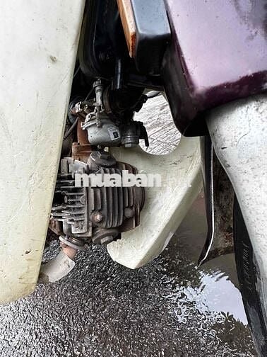 Honda Dream 100cc Trắng