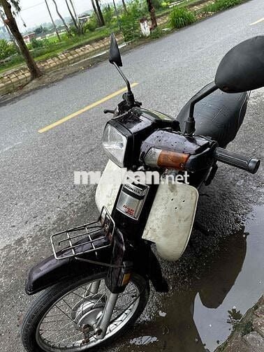 Honda Dream 100cc Trắng