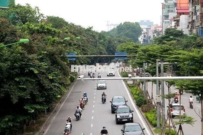 Cho thuê nhà mặt phố vị trí Vàng,đẹp nhất phố Kim Mã, Ba Đinh