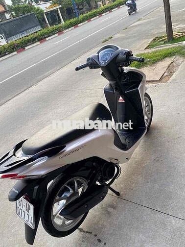 Honda Vision 2024 Trắng